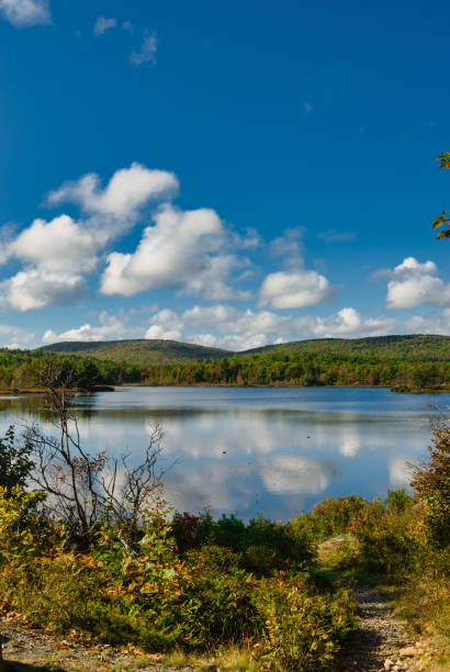 istock Witch Hole Pond; Acadia National Park, Maine 1266661667
