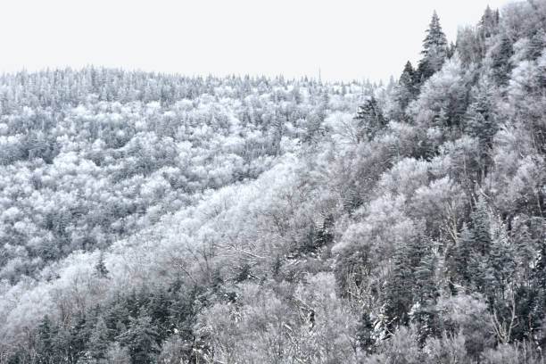 istock Snowy Scene in Kinsman Notch 1266662147