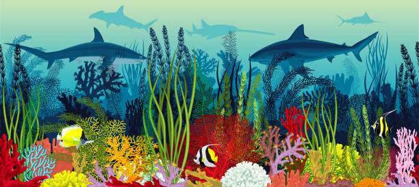 向量水下珊瑚礁水準無縫模式。海底紋理與五顏六色的熱帶魚和鯊魚。 - 蝴蝶魚 幅插畫檔、美工圖案、卡通及圖標