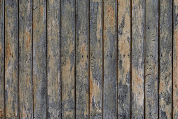 istock real natural wood texture for background 1266667751