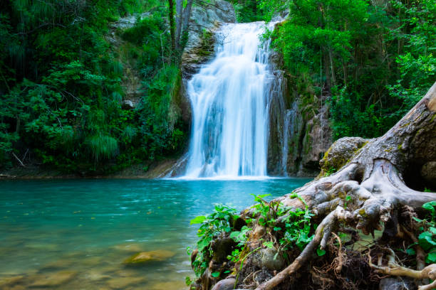 숲속의 큰 아름다운 폭포. - costa rica waterfall heaven rainforest 뉴스 사진 이미지