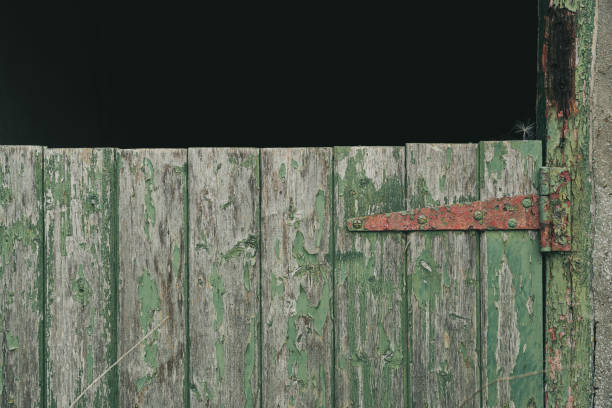 istock Half-timbered door of an abandoned stable 1266672316