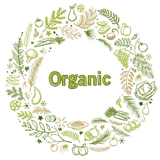 Organic food market illustration Organic food hand drawn vector illustration wreath for use as template for market garden documents, cards, flyers, banners, advertising, brochures, posters, websites farmer drawings stock illustrations
