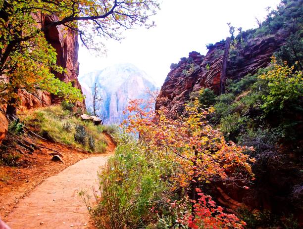 istock Natures Beautiful Garden - Zion Park 1266681210