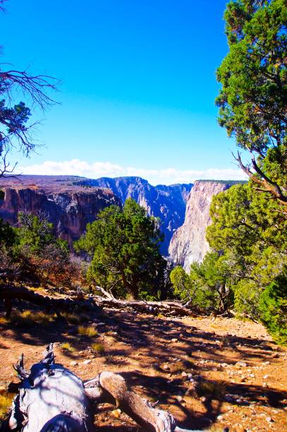 istock Black Canyon of the Gunnison 1266681775