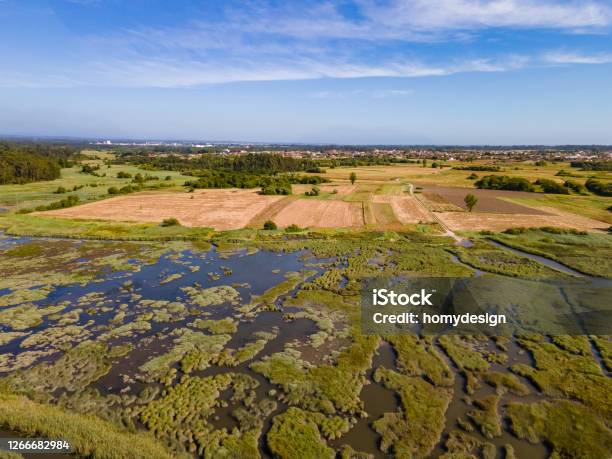 Aerial View Of Ribeira Do Mourao Stock Photo - Download Image Now - Agriculture, Drone, Environment