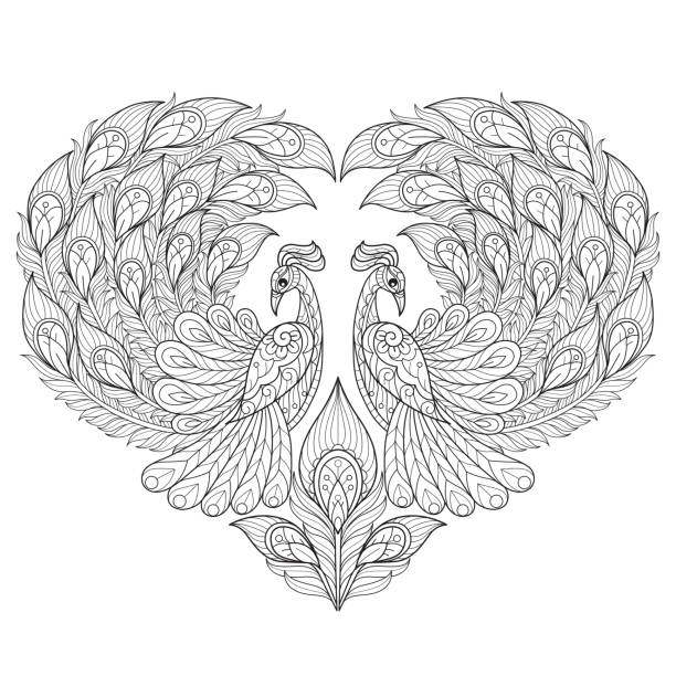 ilustraciones, imágenes clip art, dibujos animados e iconos de stock de doodle corazón de pavo real enreda página para colorear adulto, estilo de enredo de ilustración. - peacock feather outline black and white