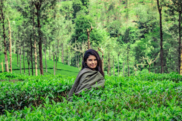 dziewczyna pozowanie w zielonym ogrodzie herbaty z jasnym tle nieba - india mountain child people zdjęcia i obrazy z banku zdjęć