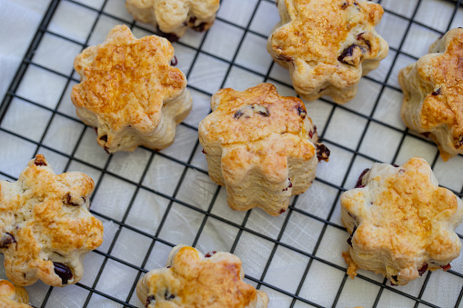 Homemade  scones Biscuits