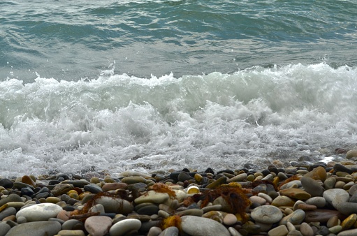 Sea wave of turquoise color with foam, coming to the coast with pebble stones and throwing brown algae out of the sea.