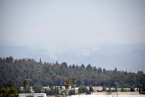 istock A Wildfire in the Distance 1266707904
