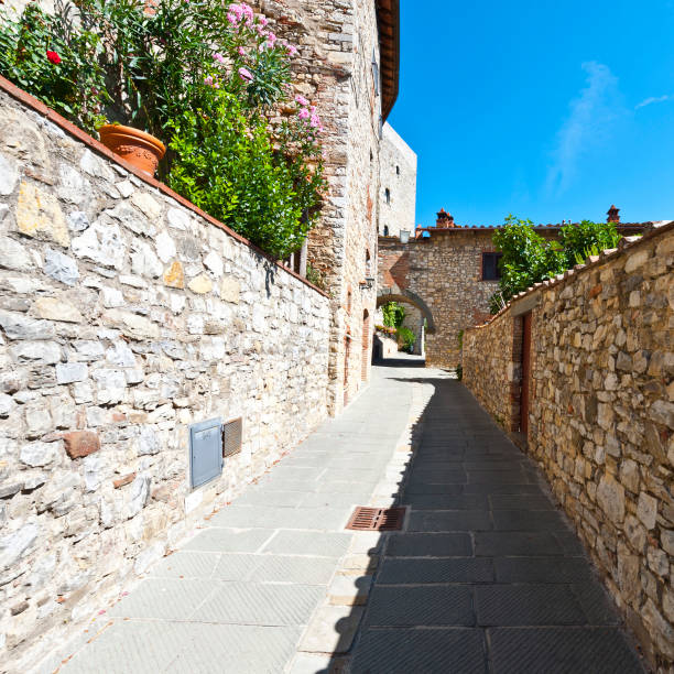 istock Street with Archway in Italy 1266709667