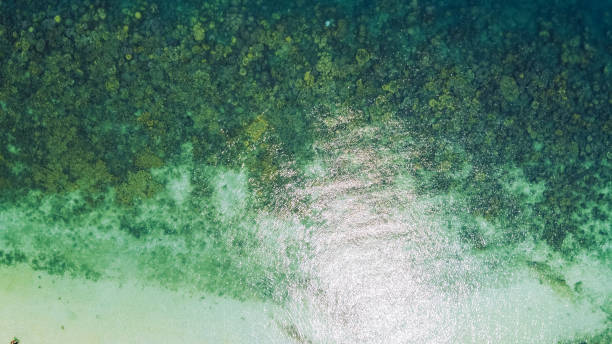 istock Clear water on the island,Bright blue sea and beach 1266711401