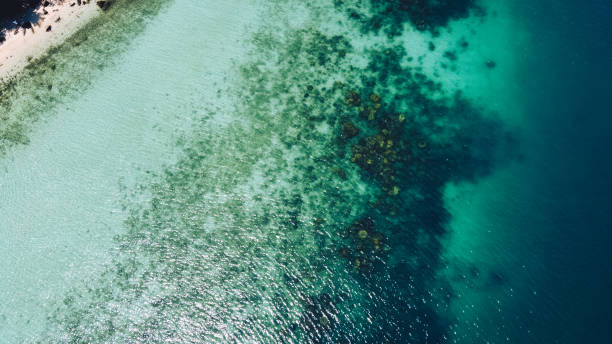 istock Clear water on the island,Bright blue sea and beach 1266712087