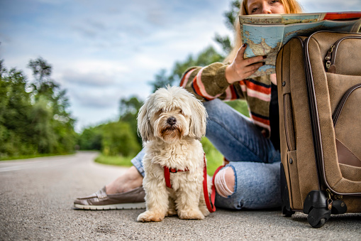 The girl is traveling with her dog