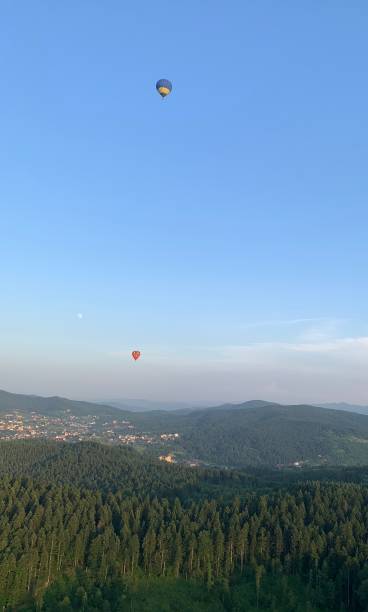 istock Balloons in the Sky 1266719702