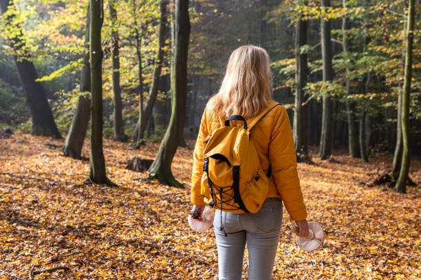istock Woman hiking in forest at fall season 1266720511