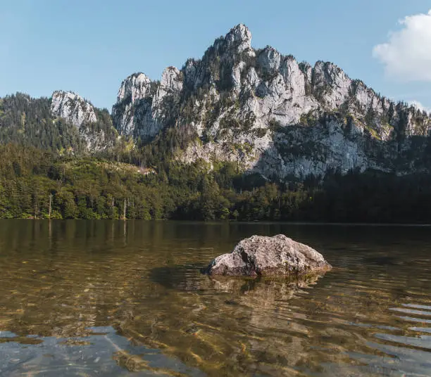 Stone in Laudachsee lake, Austria alps landscape at summer