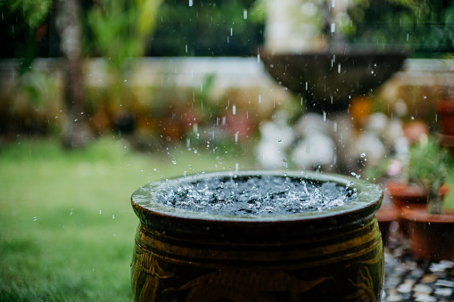 Raining in the garden. rain drop into water container