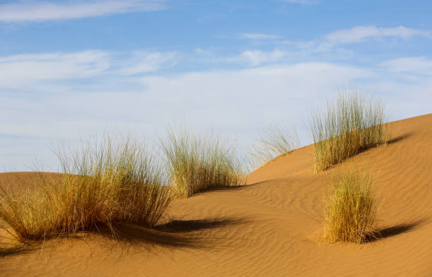 istock landscapes of Morocco 1266730634