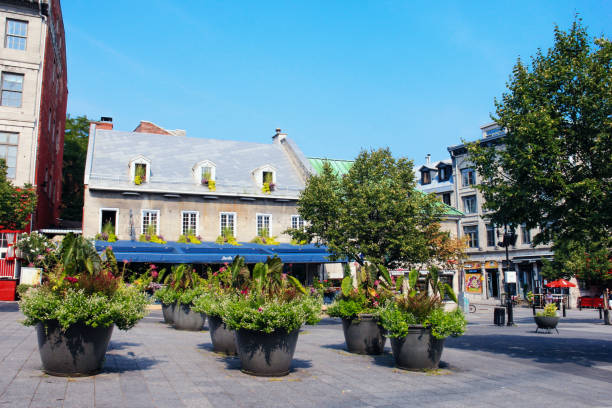 Montreal Quaint Buildings in Place Jacques-Cartier, Vieux-Montreal (Old Montreal), Ville-Marie in Montreal, QC, Canada on September 2, 2015 place jacques cartier stock pictures, royalty-free photos & images