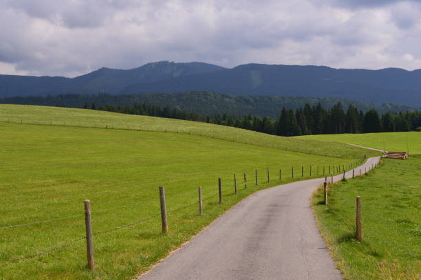 istock the in Germany Foot 1266730734