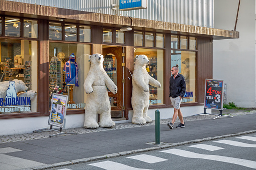 Reykjavik, Iceland, July 2, 2020: Man passing to model polar bears, used as advertisement in main street in main street in the central area of Reykjavik