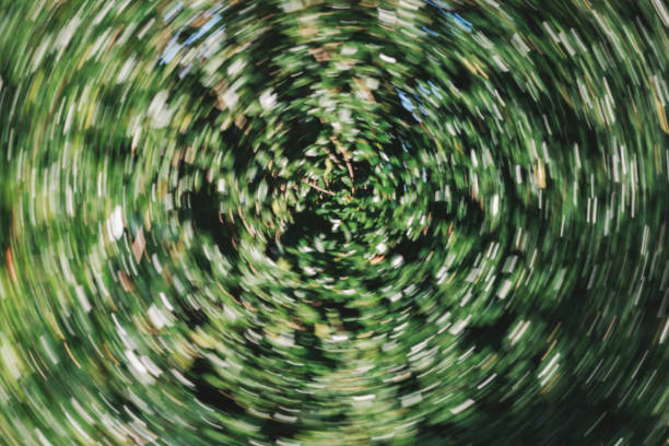 istock Abstract image of green leaves 1266732164