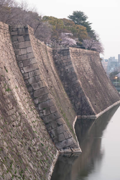 istock Cherry blossoms at dawn and the castle's stone walls 1266733177
