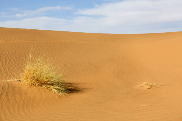 istock landscapes of Morocco 1266734325