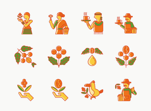 ilustrações de stock, clip art, desenhos animados e ícones de single origin etiopia coffee colorline icon set - etiopia i