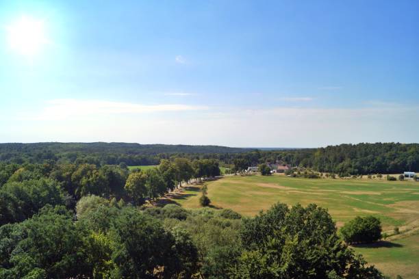 view from biorama oberservation tower, schorfheide, brandenburg - schorfheide imagens e fotografias de stock