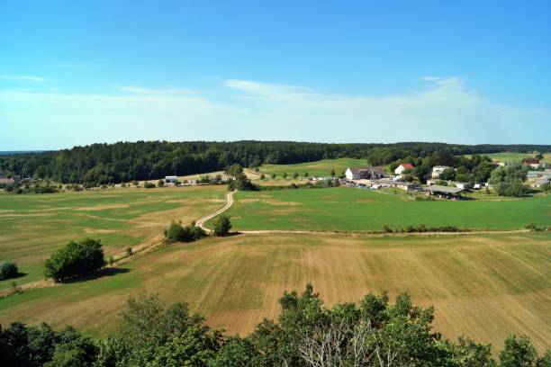 view from biorama oberservation tower, schorfheide, brandebourg - schorfheide photos et images de collection