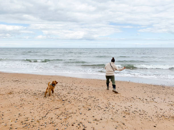 istock Young Woman Throws Stone for dog on Beach 1266736169