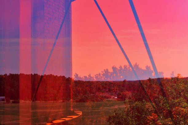 istock View from Biorama oberservation tower, Schorfheide, Brandenburg 1266736183