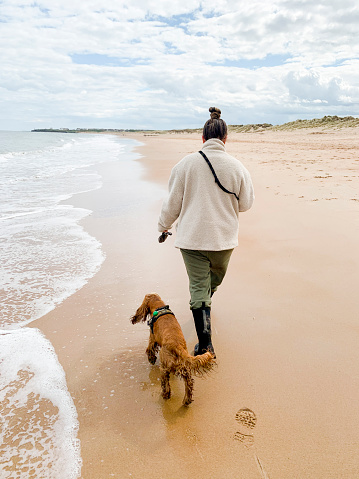 A warmly dressed young woman walks along the sea edge of the beach with her red spaniel wearing a harness at her side on a cloudy day as she holds a dog waste bag