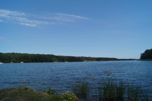 istock Werbellinsee at a sunny summer day 1266736304