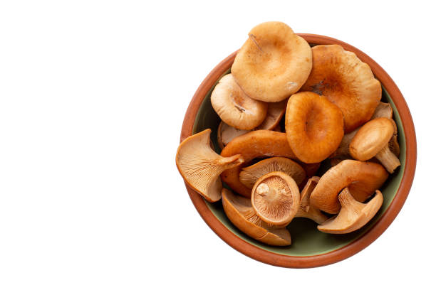 istock Raw mushroom in plate, cantharellus cibarius, isolated on white background. Top view, space for text left 1266738412