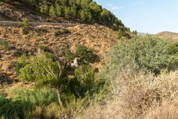 istock mountainous landscape in southern Spain 1266738603