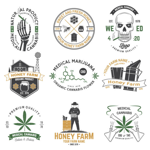 Set of Honey bee farm and medical cannabis shop badge. Vector. Concept for shirt, print, stamp or tee. Design for honey bee farm, weed shop, marijuana delivery Set of Honey bee farm and medical cannabis shop badge. Vector illustration. Concept for shirt, print, stamp or tee. Design for honey bee farm, weed shop, marijuana delivery bong stock illustrations
