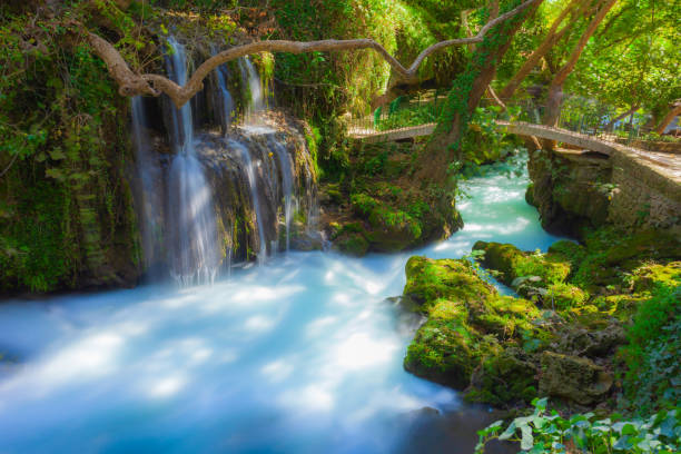 parque de cachoeiras duden em antalya - waterfall antalya turkey forest - fotografias e filmes do acervo