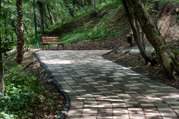 istock Park walkway with benches in the spring 1266743683