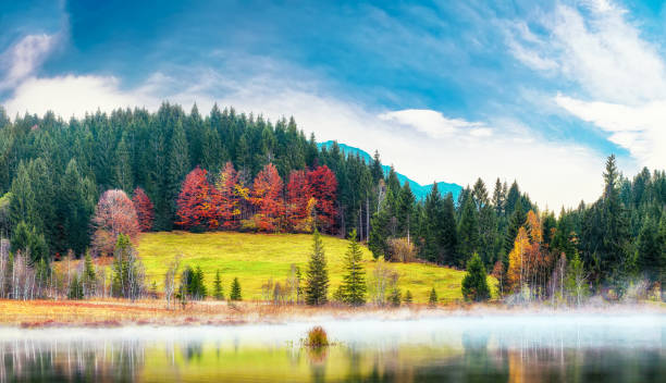 istock Marvelous view of Wagenbruchsee 1266744860