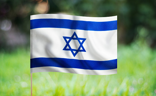 Little girl is holding flag of Israel in hand and is looking at camera in front of white background.