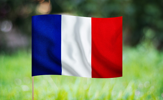 French flag waving on a green background. Horizontal composition with copy space.