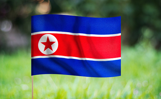 North Korean flag waving on a green background. Horizontal composition with copy space.