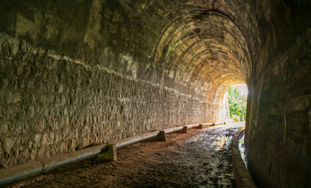 istock Abandoned Railway Tunnel in the plateau 1266748678