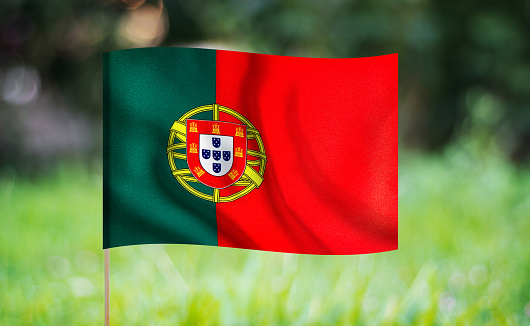 Portuguese flag waving on a green background. Horizontal composition with copy space.
