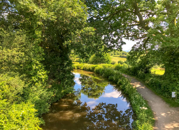 istock Canal and towpath shaded by trees 1266752864