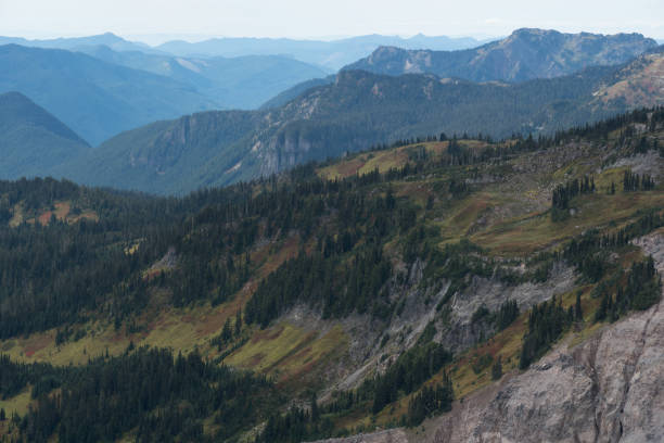 istock landscape photos with mountain, tree, lake, valley, mount rainier 1266754068